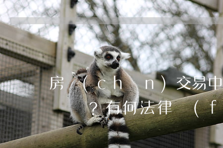 房產(chǎn)交易中“直更名”靠譜嗎？有何法律風(fēng)險(xiǎn)